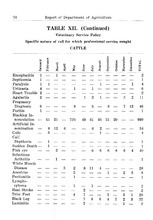 29003_OBJ-Thumbnail Image.jpg