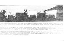 29037_OBJ-Thumbnail Image.jpg