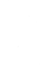 29205_OBJ-Thumbnail Image.jpg