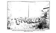 29274_OBJ-Thumbnail Image.jpg