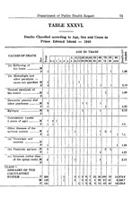 29305_OBJ-Thumbnail Image.jpg