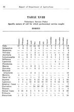 29309_OBJ-Thumbnail Image.jpg
