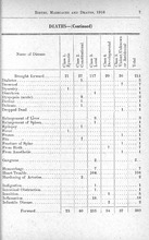 29311_OBJ-Thumbnail Image.jpg