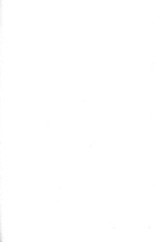 29470_OBJ-Thumbnail Image.jpg