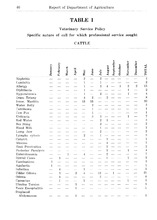 29517_OBJ-Thumbnail Image.jpg