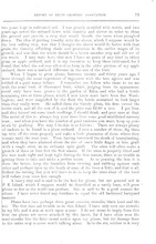 29537_OBJ-Thumbnail Image.jpg