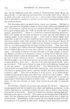 29575_OBJ-Thumbnail Image.jpg