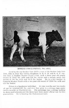 29640_OBJ-Thumbnail Image.jpg