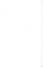 29711_OBJ-Thumbnail Image.jpg
