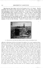2977_OBJ-Thumbnail Image.jpg