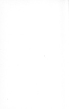 29875_OBJ-Thumbnail Image.jpg