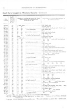 29916_OBJ-Thumbnail Image.jpg