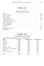 30188_OBJ-Thumbnail Image.jpg