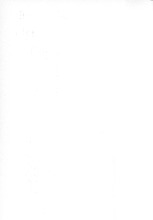 30392_OBJ-Thumbnail Image.jpg