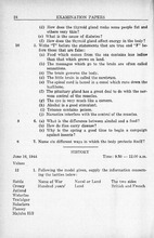 30396_OBJ-Thumbnail Image.jpg