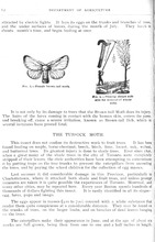 30422_OBJ-Thumbnail Image.jpg