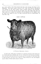 30481_OBJ-Thumbnail Image.jpg