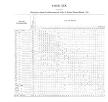 30684_OBJ-Thumbnail Image.jpg