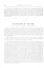 30995_OBJ-Thumbnail Image.jpg