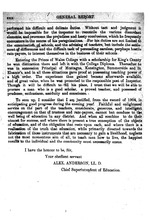 31029_OBJ-Thumbnail Image.jpg