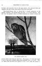 31042_OBJ-Thumbnail Image.jpg
