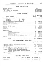 31143_OBJ-Thumbnail Image.jpg
