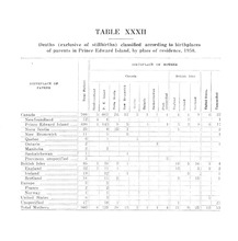 31168_OBJ-Thumbnail Image.jpg
