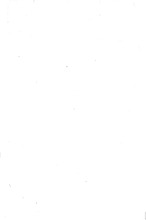 31284_OBJ-Thumbnail Image.jpg