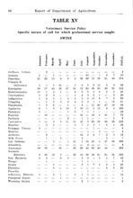 31465_OBJ-Thumbnail Image.jpg