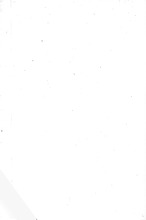 31545_OBJ-Thumbnail Image.jpg