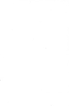 31589_OBJ-Thumbnail Image.jpg