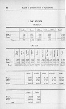 31805_OBJ-Thumbnail Image.jpg