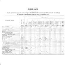 31895_OBJ-Thumbnail Image.jpg
