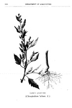 32016_OBJ-Thumbnail Image.jpg