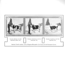 32187_OBJ-Thumbnail Image.jpg