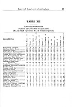 32263_OBJ-Thumbnail Image.jpg