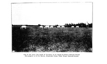 32364_OBJ-Thumbnail Image.jpg