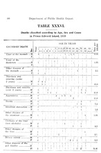 32521_OBJ-Thumbnail Image.jpg