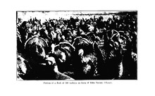 32529_OBJ-Thumbnail Image.jpg