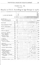 32668_OBJ-Thumbnail Image.jpg