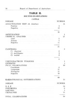 32721_OBJ-Thumbnail Image.jpg