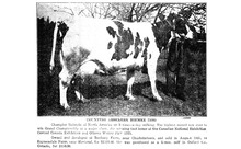 32754_OBJ-Thumbnail Image.jpg