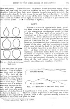 32791_OBJ-Thumbnail Image.jpg