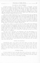 33047_OBJ-Thumbnail Image.jpg