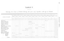 33207_OBJ-Thumbnail Image.jpg