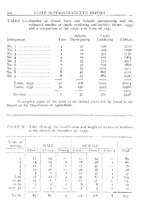 33312_OBJ-Thumbnail Image.jpg