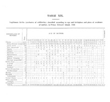 33402_OBJ-Thumbnail Image.jpg