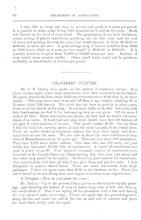 33414_OBJ-Thumbnail Image.jpg