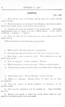 33431_OBJ-Thumbnail Image.jpg