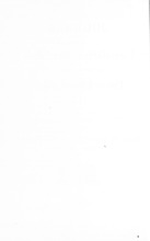 33477_OBJ-Thumbnail Image.jpg